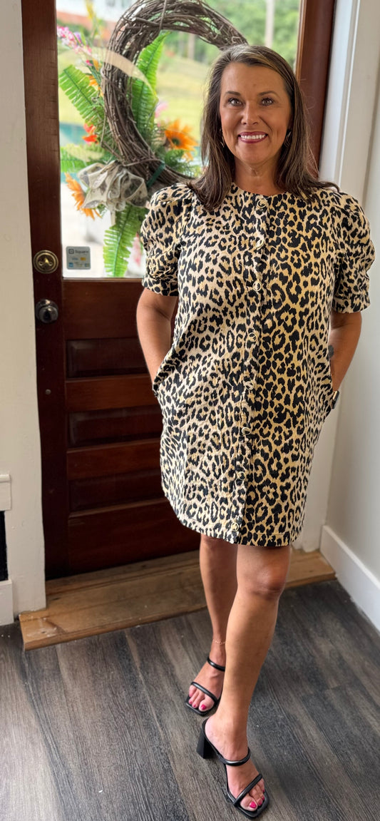 Animal Print Dress with Buttons